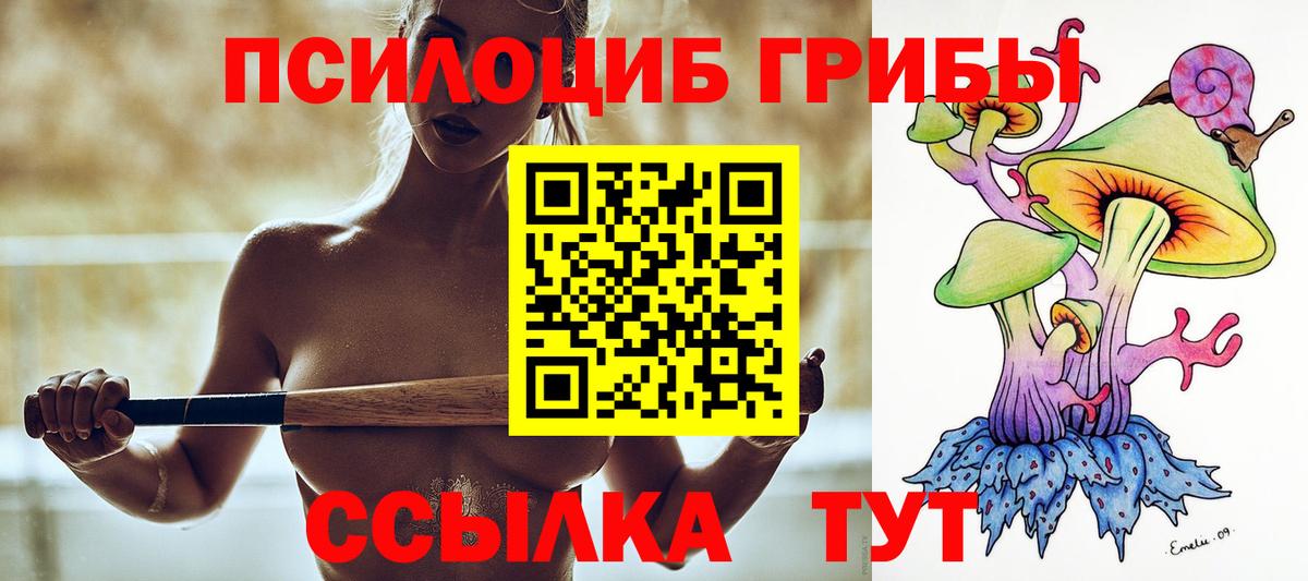 Псилоцибиновые грибы прущие грибы Луга