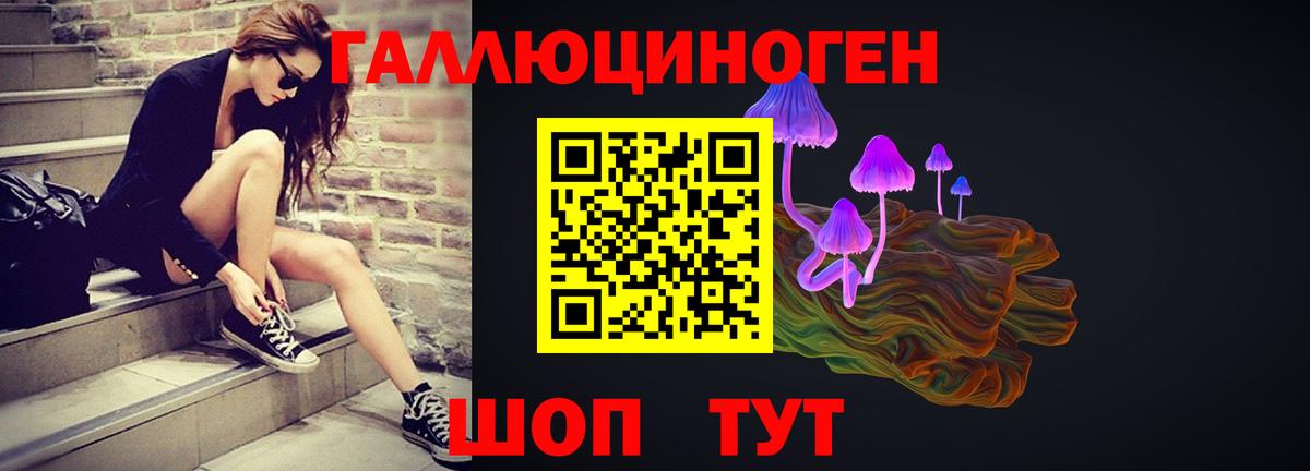 Галлюциногенные грибы GOLDEN TEACHER  Вход с VPN  Луга  Псилоцибиновые грибы прущие грибы 