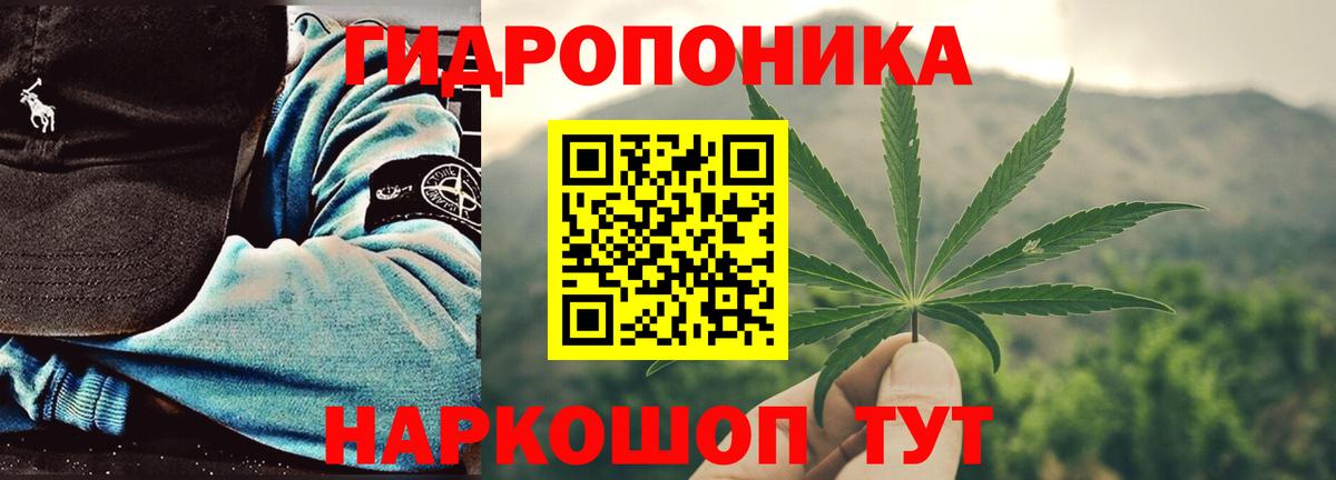 Бошки марихуана Bruce Banner  Вход с VPN  Каннабис марихуана  Луга 